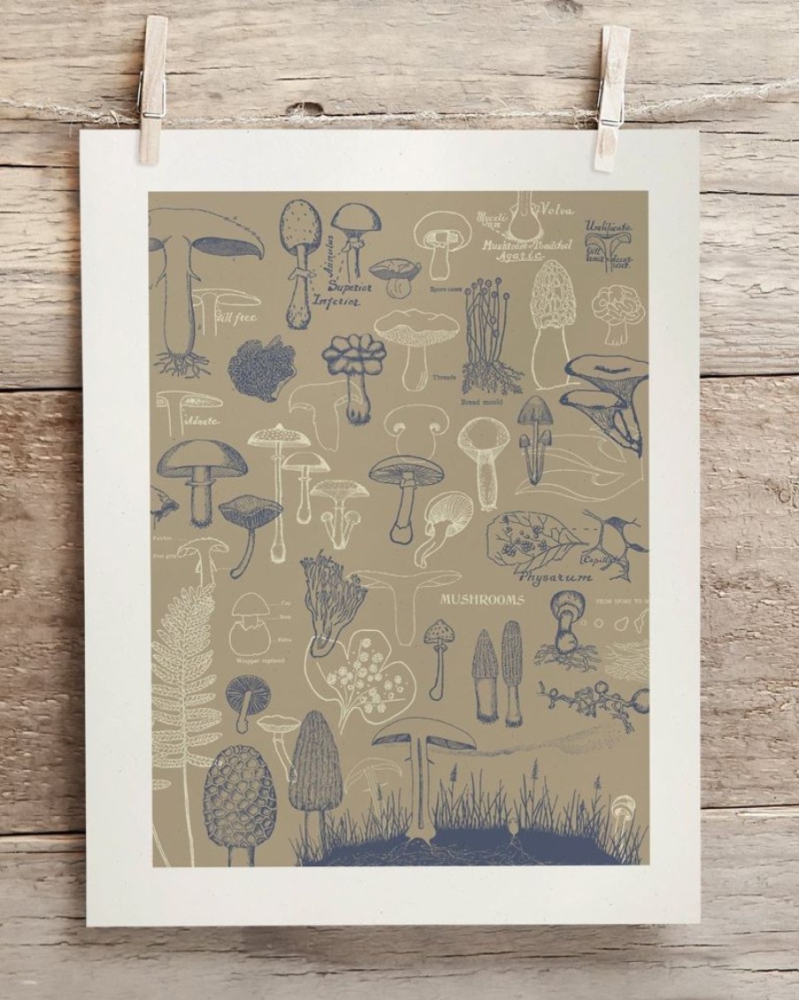 Wall Art Cognitive Surplus | Mushrooms Scientific Illustration Museum Print