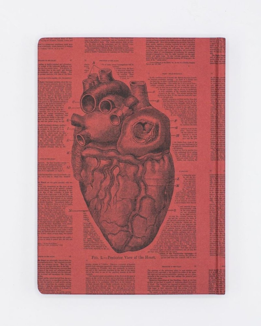 Notebooks Cognitive Surplus | Anatomical Heart Hardcover Notebook