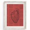 Wall Art Cognitive Surplus | Anatomical Heart Scientific Illustration Wall Art | Cognitive Surplus