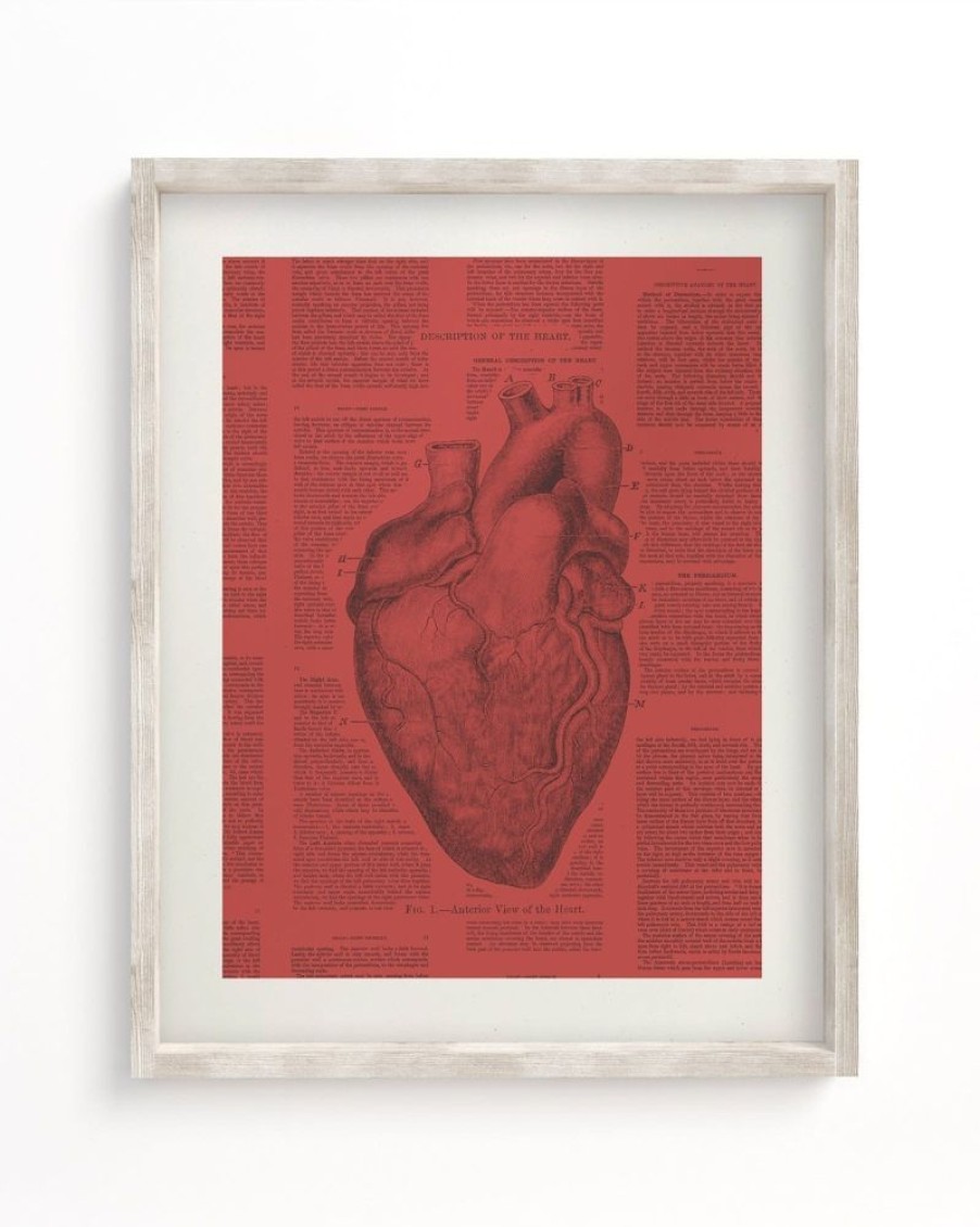 Wall Art Cognitive Surplus | Anatomical Heart Scientific Illustration Wall Art | Cognitive Surplus