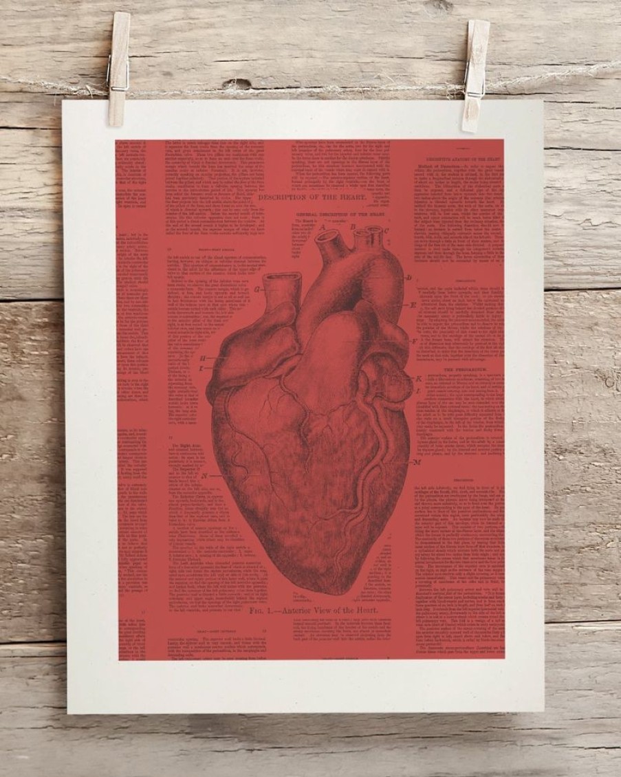 Wall Art Cognitive Surplus | Anatomical Heart Scientific Illustration Wall Art | Cognitive Surplus