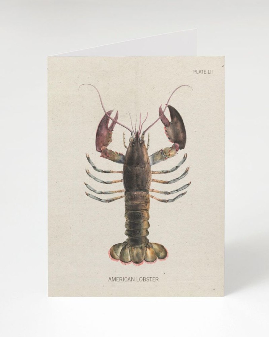 Stationery Cognitive Surplus | Lobster Greeting Card - Marine Biology Stationery | Cognitive Surplus