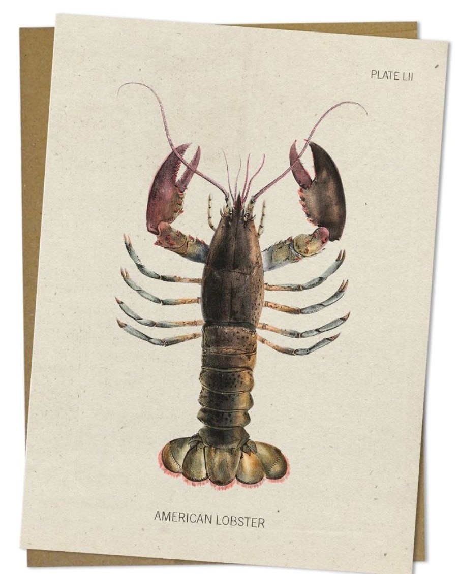 Stationery Cognitive Surplus | Lobster Greeting Card - Marine Biology Stationery | Cognitive Surplus