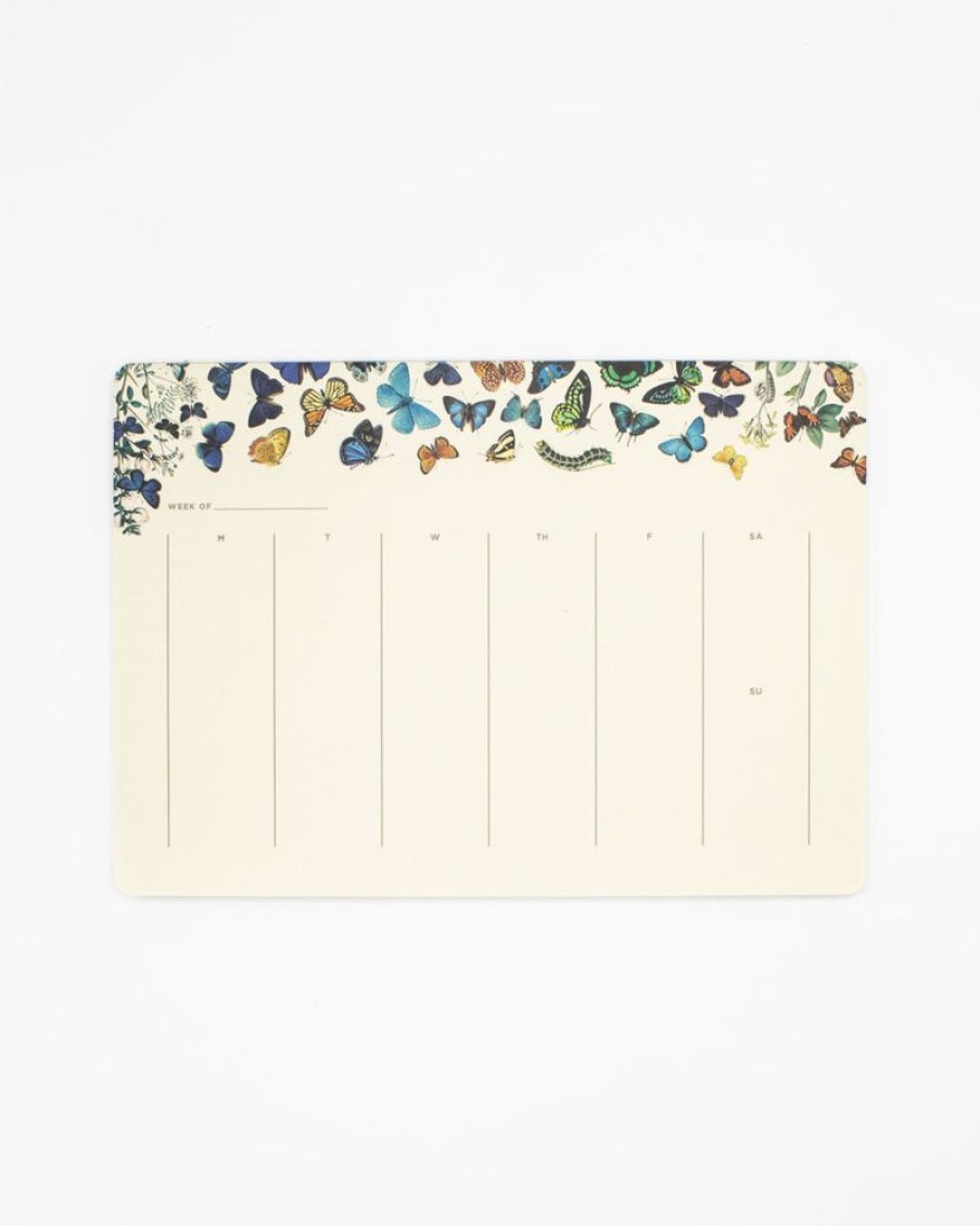 Stationery Cognitive Surplus | Butterfly Notepads - Entomology Market Pad | Cognitive Surplus