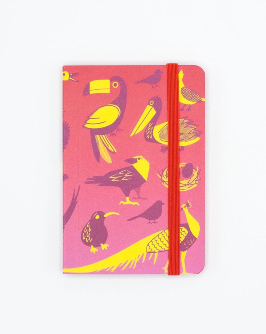 Notebooks Cognitive Surplus | Retro Birds Observation Softcover