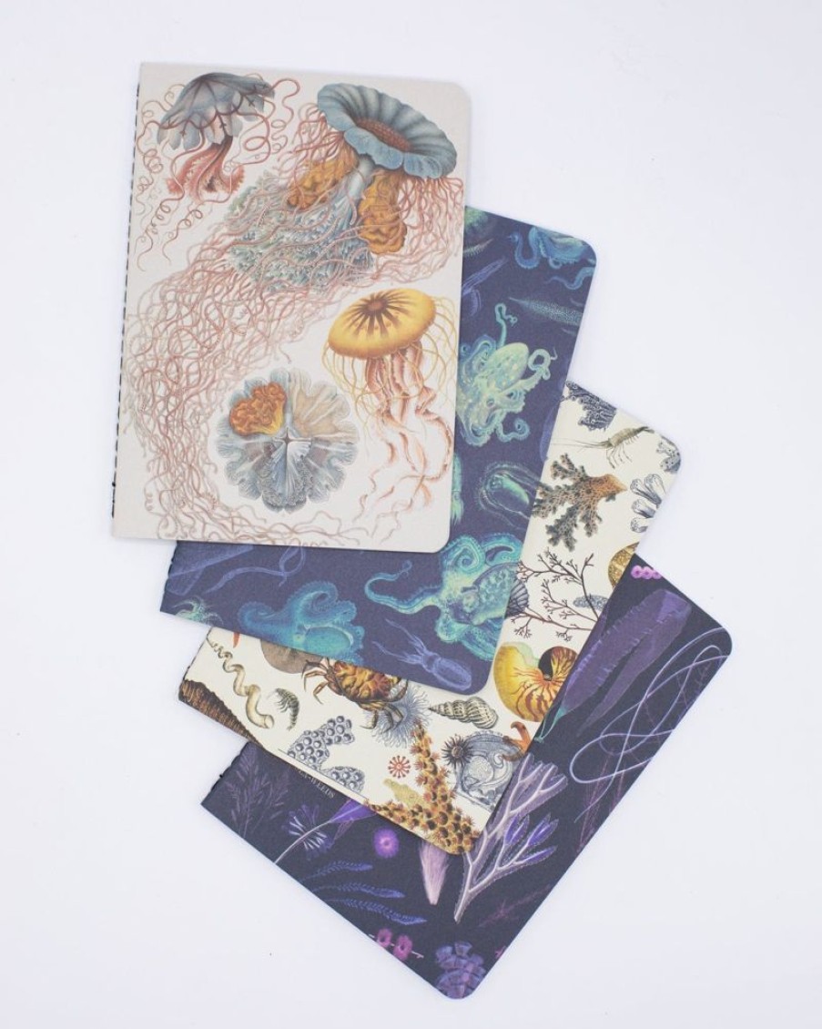 Notebooks Cognitive Surplus | Marine Biology Pocket Notebooks Set Of 4 | Marine Biology