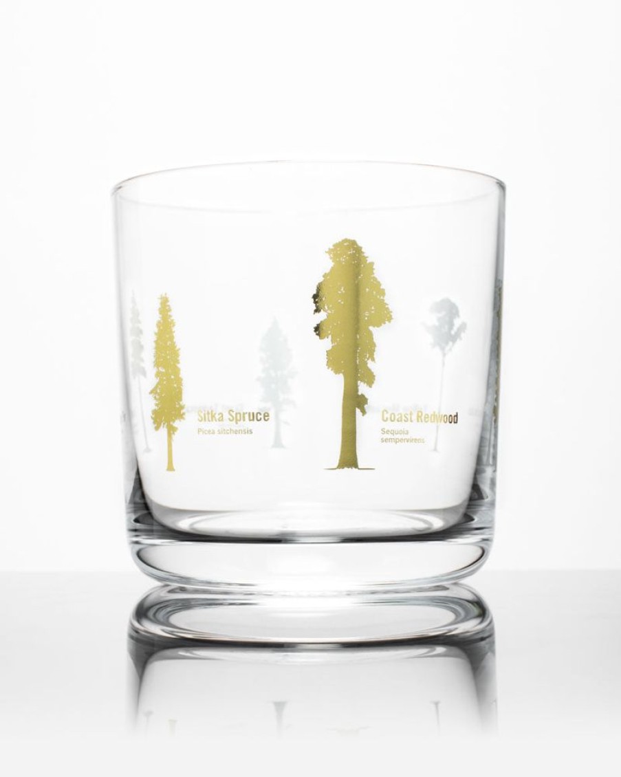 Kitchen + Bar Cognitive Surplus | Tall Trees Whiskey Glass - Scotch Glass | Cognitive Surplus