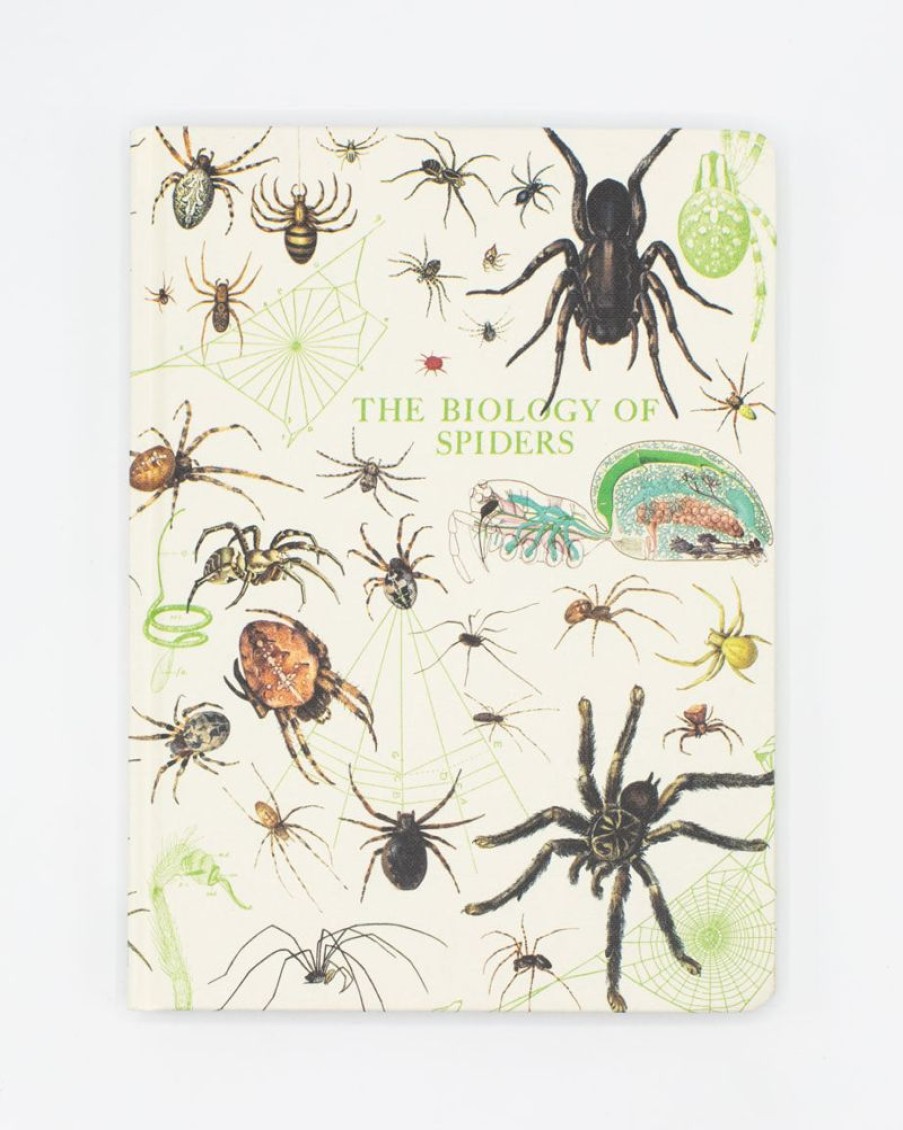 Notebooks Cognitive Surplus | Spiders Hardcover Notebook - Insect Print | Cognitive Surplus