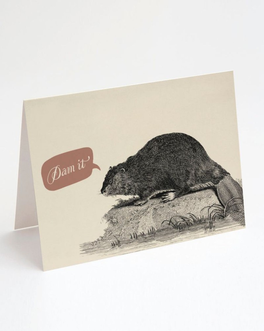 Stationery Cognitive Surplus | Beaver Dam Card - Apology Card | Cognitive Surplus