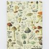 Notebooks Cognitive Surplus | Woodland Mushrooms Hardcover - Blank