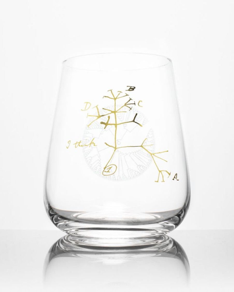 Kitchen + Bar Cognitive Surplus | Tree Of Life Wine Glass - Evolution | Cognitive Surplus