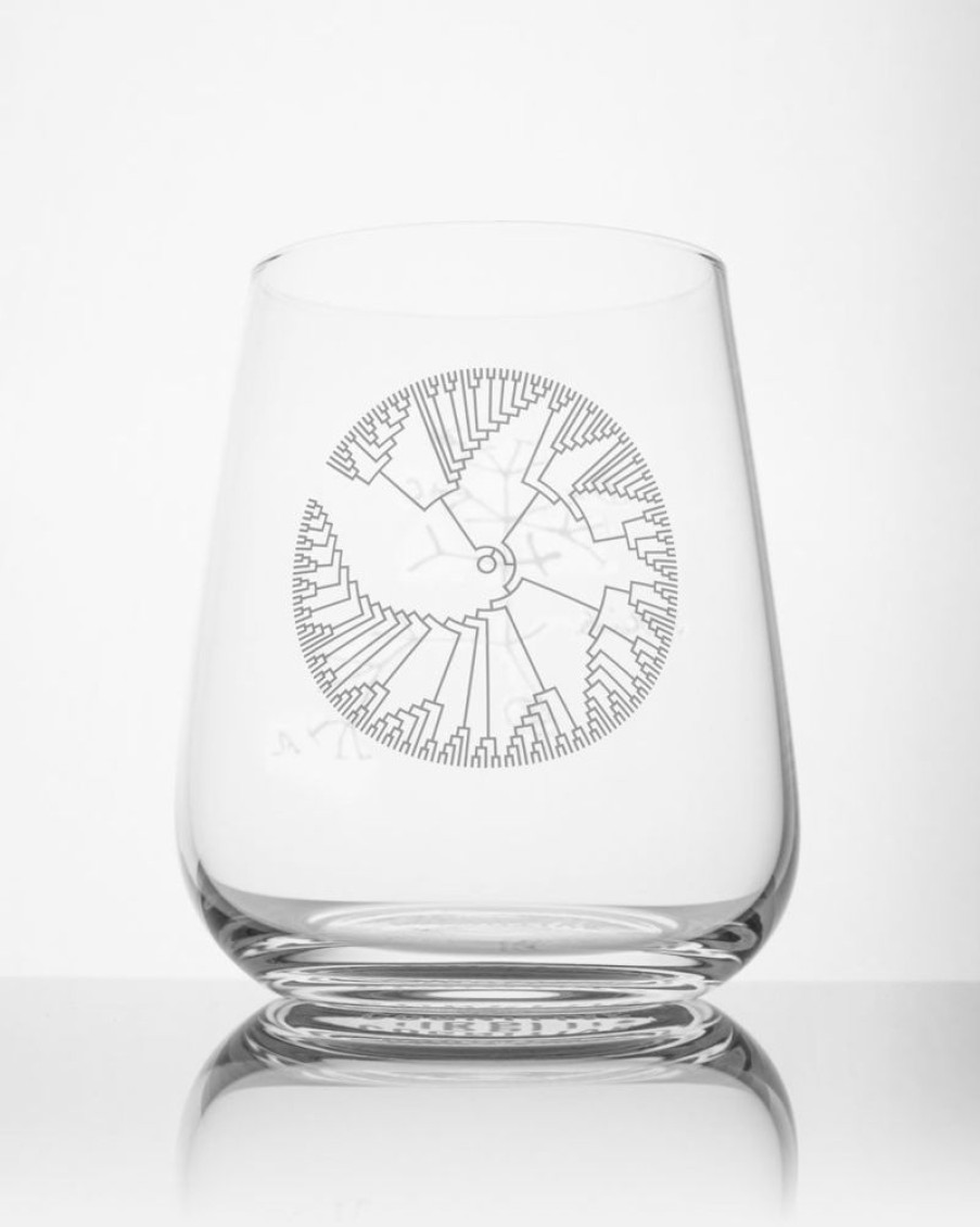 Kitchen + Bar Cognitive Surplus | Tree Of Life Wine Glass - Evolution | Cognitive Surplus