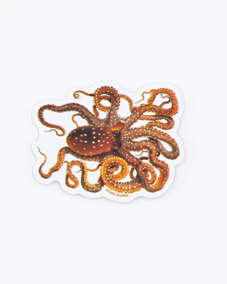 Stationery Cognitive Surplus | Atlantic White-Spotted Octopus Sticker