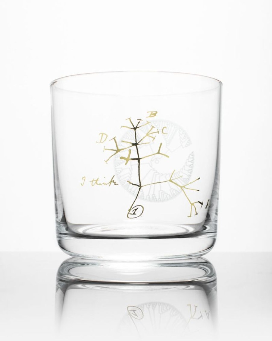 Kitchen + Bar Cognitive Surplus | Evolution Tree Of Life Whiskey Glass - Scotch Glass | Cognitive Surplus