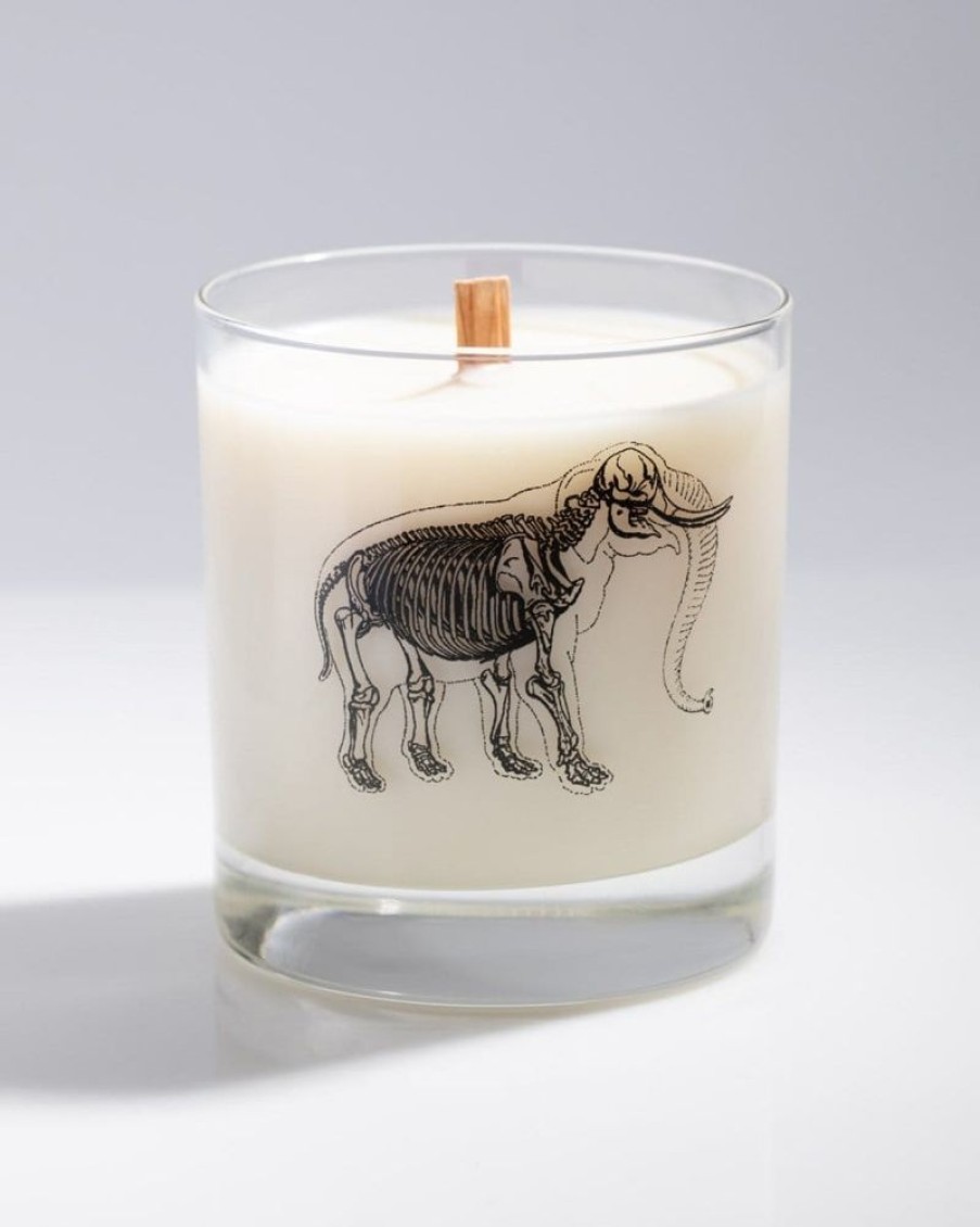 Home Cognitive Surplus | Elephant Bones Cocktail Candle