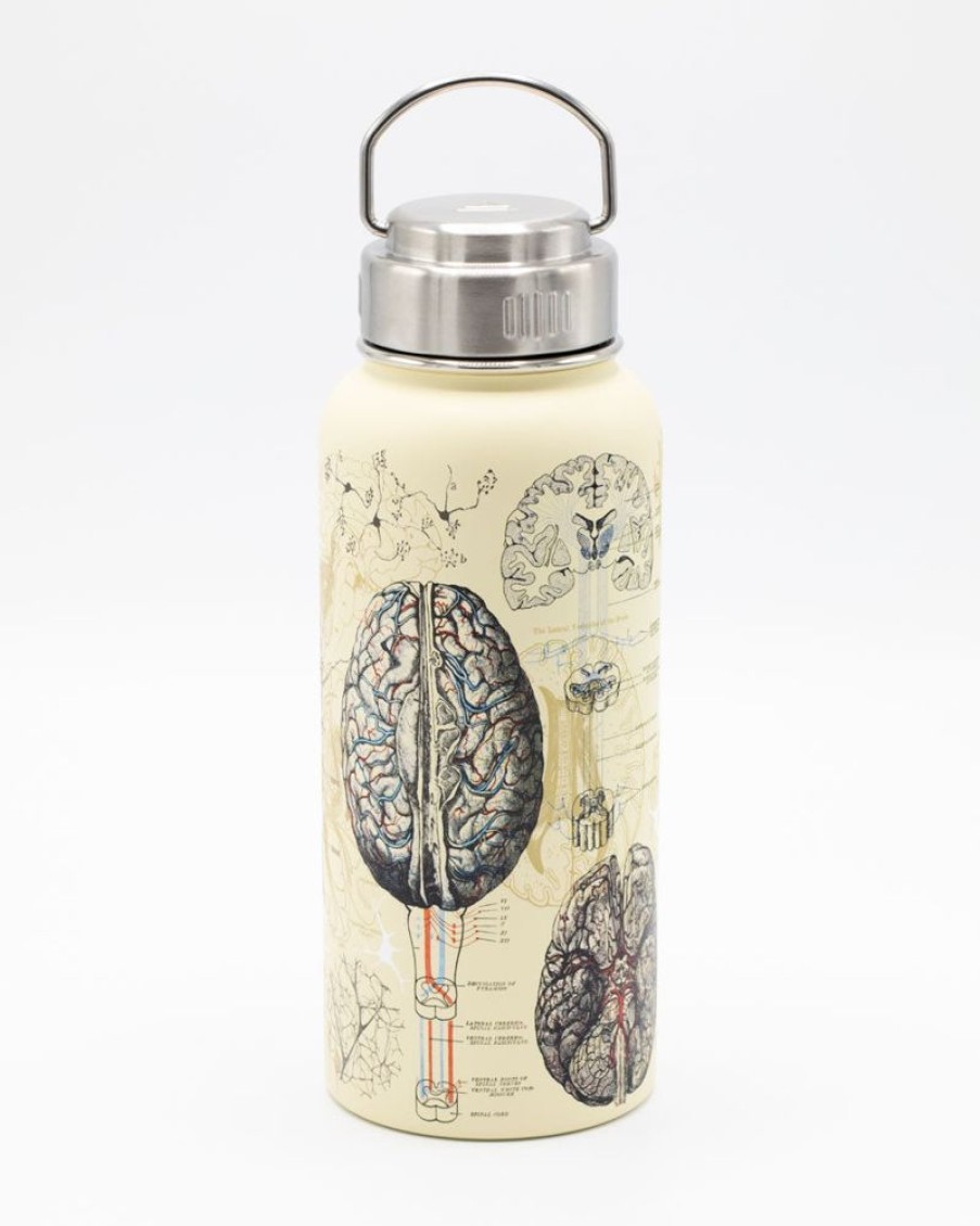 Kitchen + Bar Cognitive Surplus | Brain & Neuroscience 18 Oz Insulated Steel Bottle By Cognitive Surplus