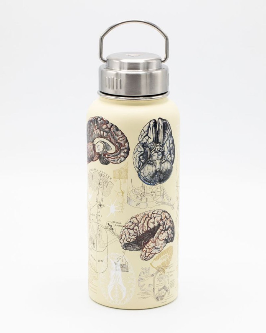 Kitchen + Bar Cognitive Surplus | Brain & Neuroscience 18 Oz Insulated Steel Bottle By Cognitive Surplus