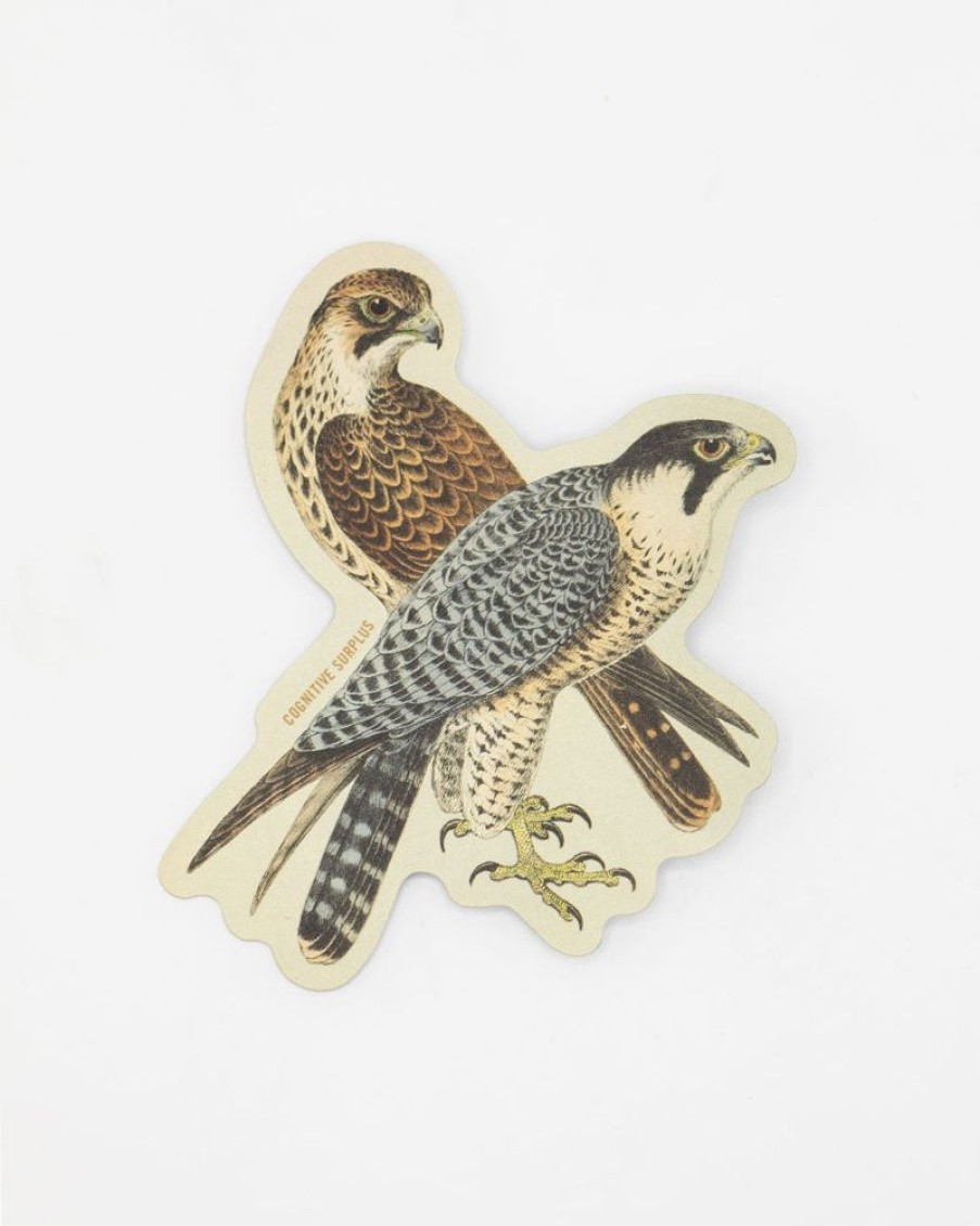 Stationery Cognitive Surplus | Peregrine Falcon Sticker