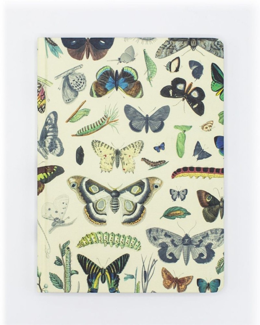 Notebooks Cognitive Surplus | Bee Hardcover Notebook | Insect Print