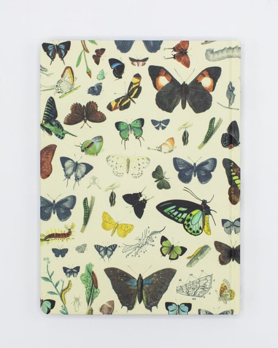 Notebooks Cognitive Surplus | Bee Hardcover Notebook | Insect Print