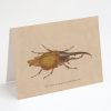 Stationery Cognitive Surplus | Hercules Beetle Greeting Card - Entomology Stationery | Cognitive Surplus