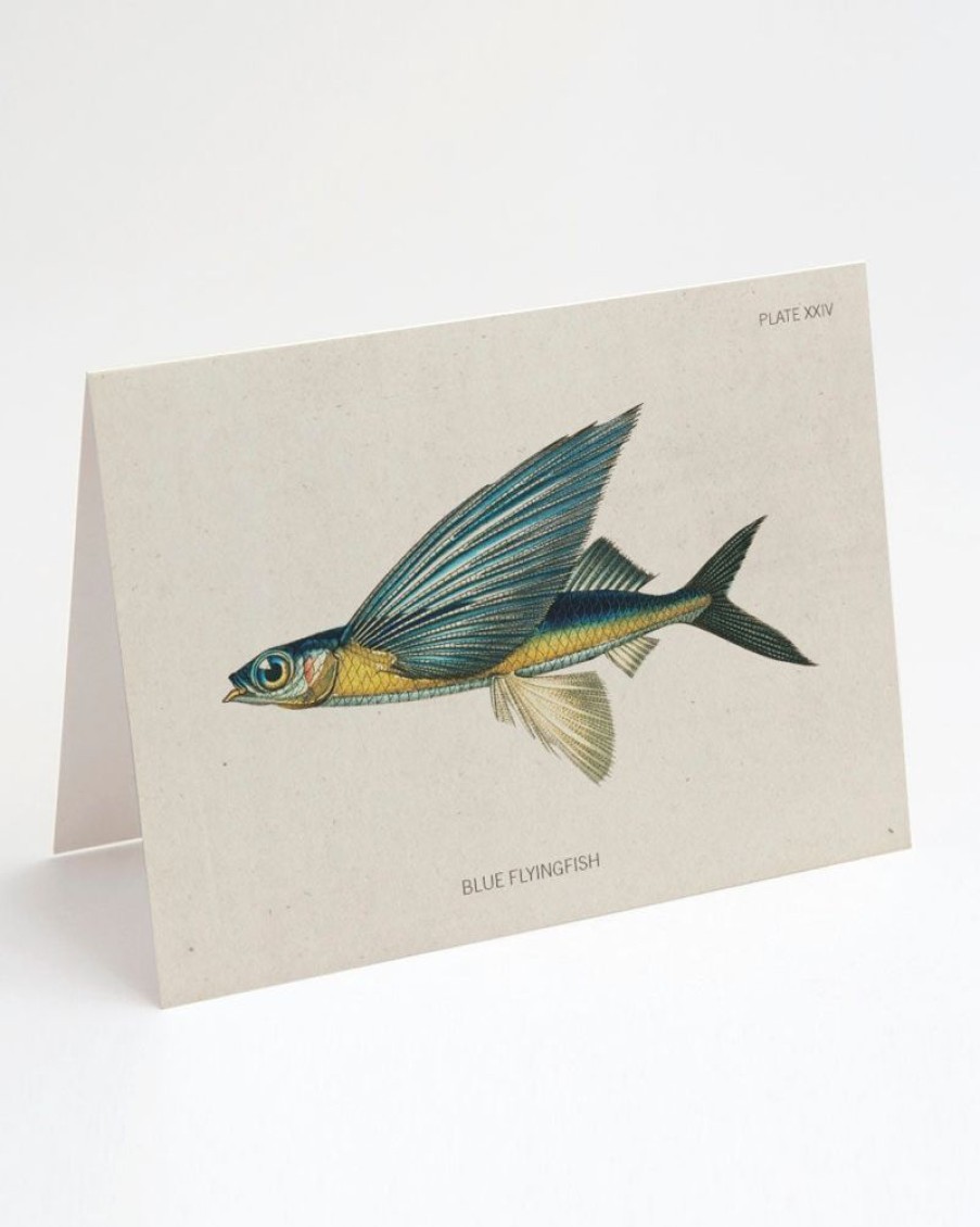 Stationery Cognitive Surplus | Flying Fish Greeting Card - Science Stationery | Cognitive Surplus