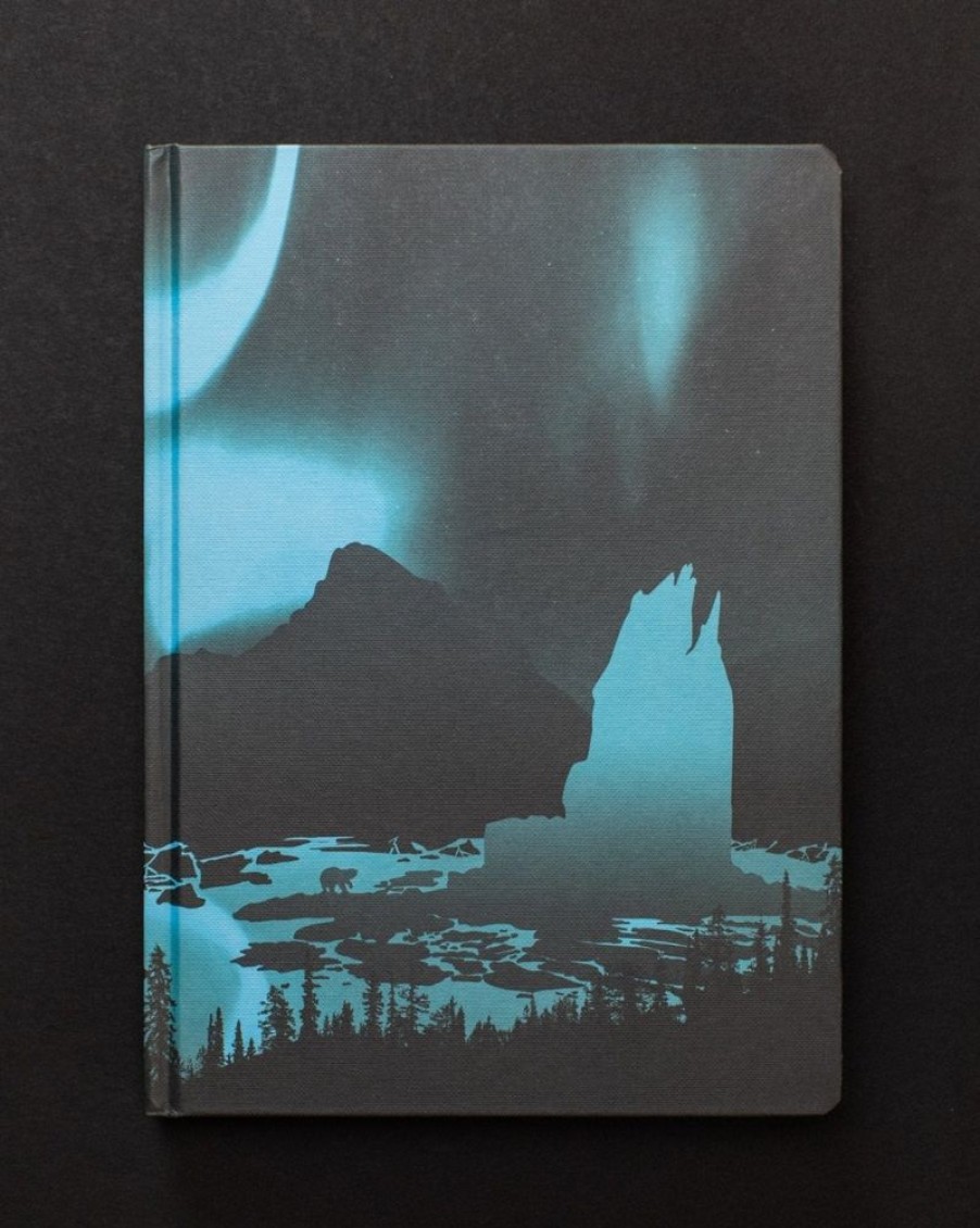 Notebooks Cognitive Surplus | Arctic Ice Dark Matter Notebook