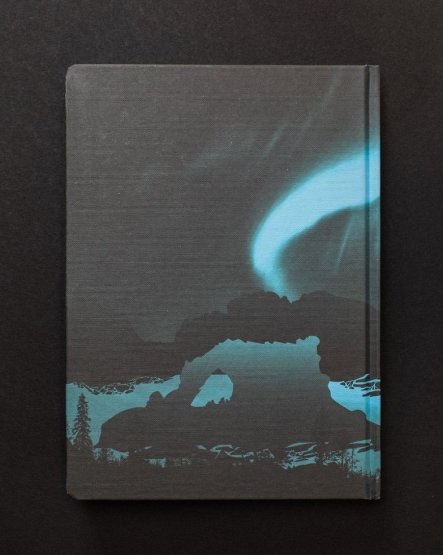 Notebooks Cognitive Surplus | Arctic Ice Dark Matter Notebook