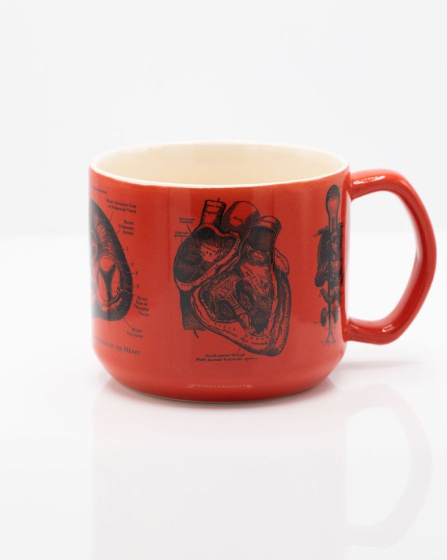 Kitchen + Bar Cognitive Surplus | Heart Anatomy Mug - Nurse Mug | Cognitive Surplus