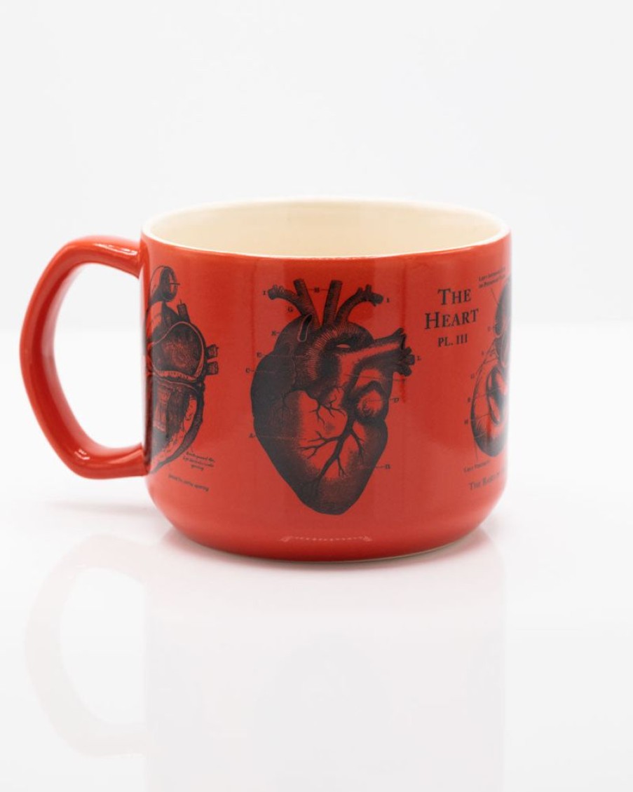 Kitchen + Bar Cognitive Surplus | Heart Anatomy Mug - Nurse Mug | Cognitive Surplus