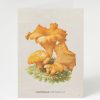 Stationery Cognitive Surplus | Chanterelle Mushroom Card - Science Stationery | Cognitive Surplus