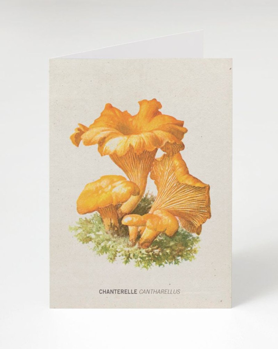 Stationery Cognitive Surplus | Chanterelle Mushroom Card - Science Stationery | Cognitive Surplus