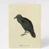 Stationery Cognitive Surplus | Raven Bird Card - Science Stationery | Cognitive Surplus