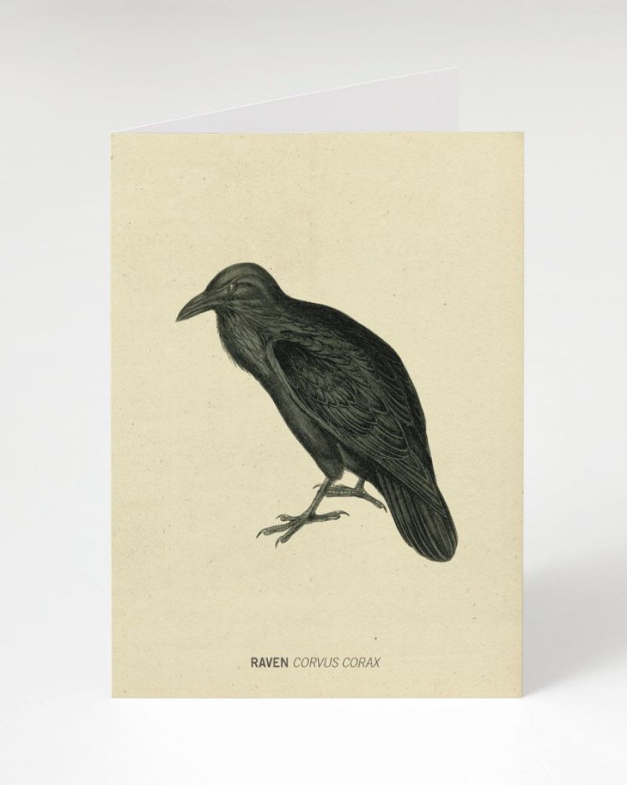 Stationery Cognitive Surplus | Raven Bird Card - Science Stationery | Cognitive Surplus