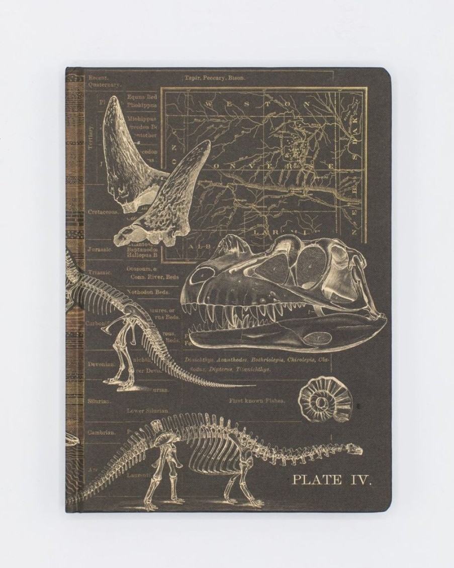 Notebooks Cognitive Surplus | Dinosaur Hardcover Notebook | Paleontology