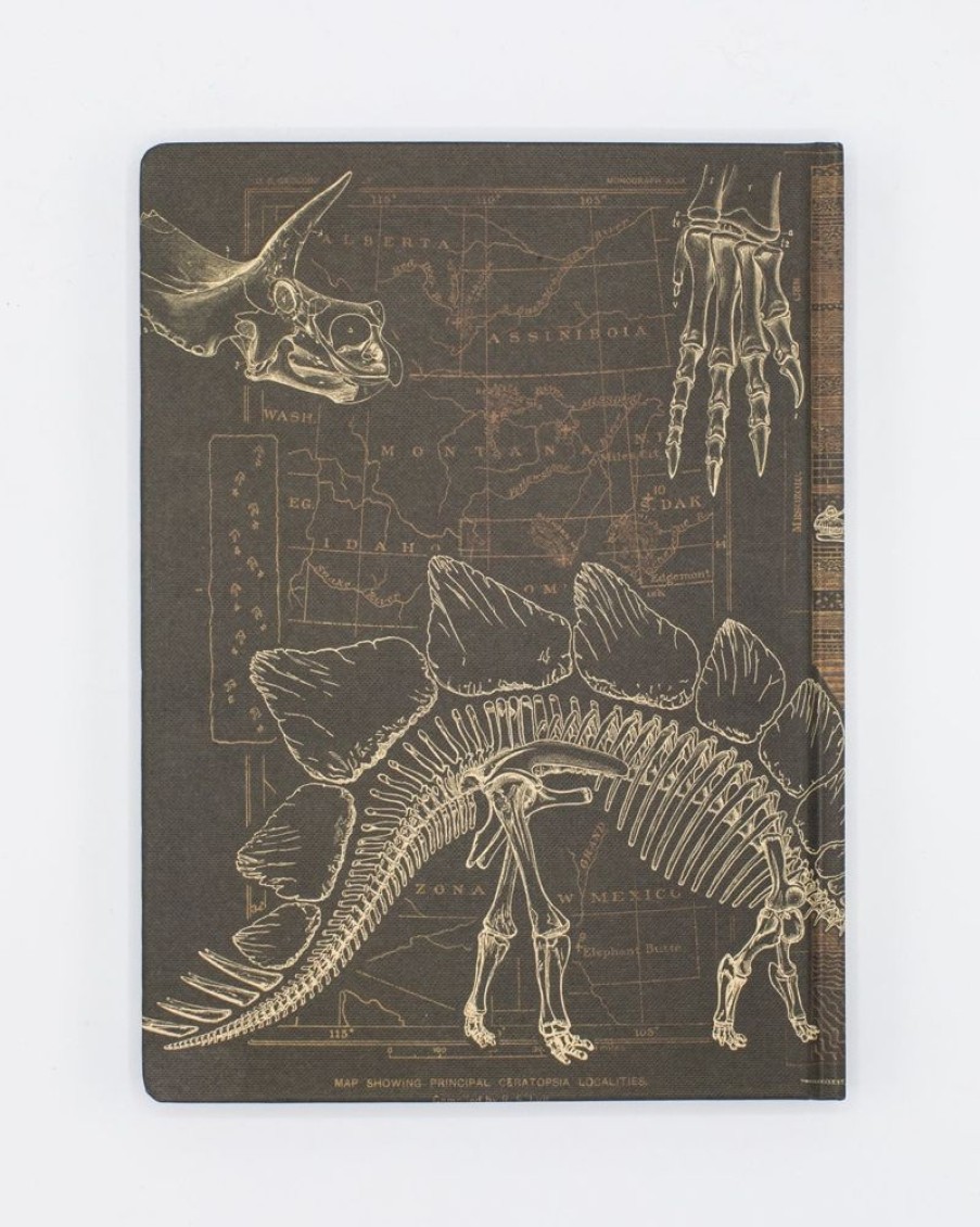 Notebooks Cognitive Surplus | Dinosaur Hardcover Notebook | Paleontology