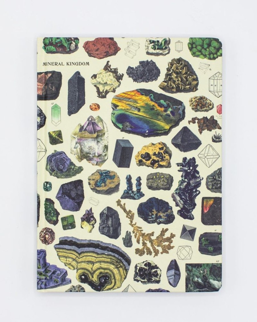 Notebooks Cognitive Surplus | Geology Notebook - Hardcover | Geologist Gift