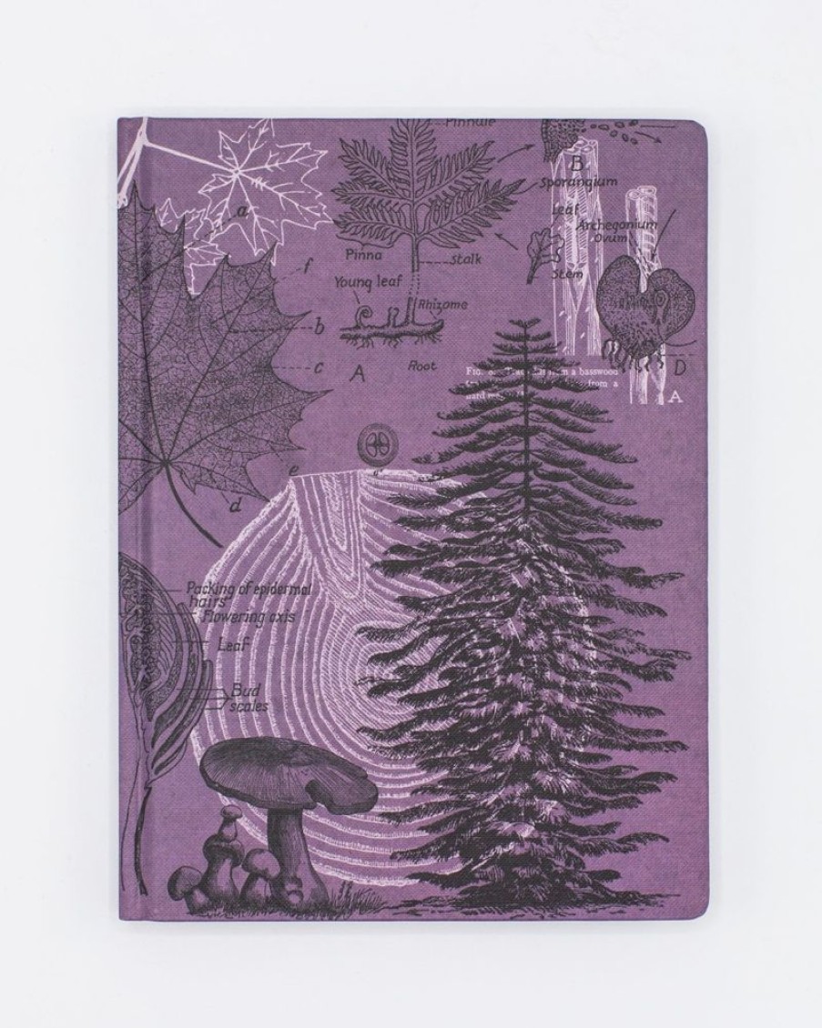 Notebooks Cognitive Surplus | Forest Notebook - Hardcover | Tree Journal