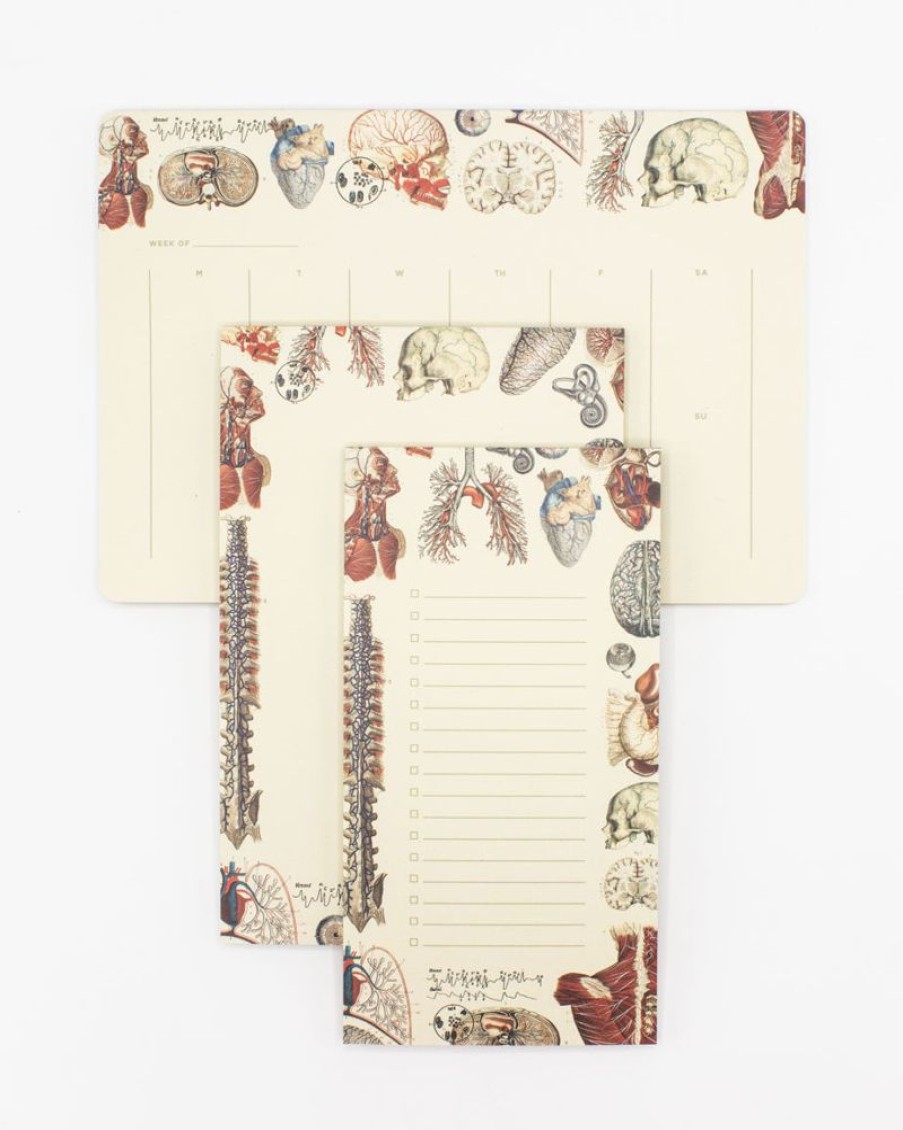 Stationery Cognitive Surplus | Anatomy Notepads - Vintage Medicine Pad | Cognitive Surplus