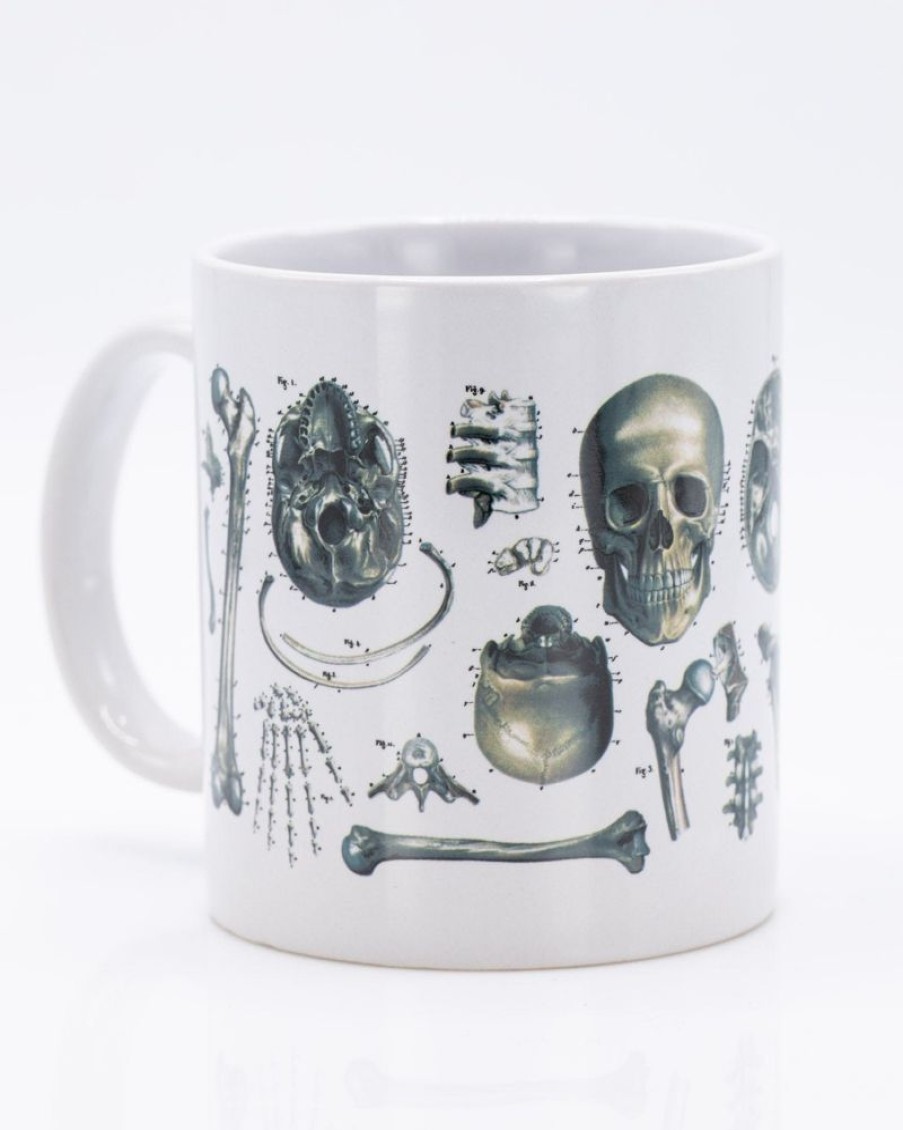 Kitchen + Bar Cognitive Surplus | Skeleton Mug 20 Oz | Science Mug