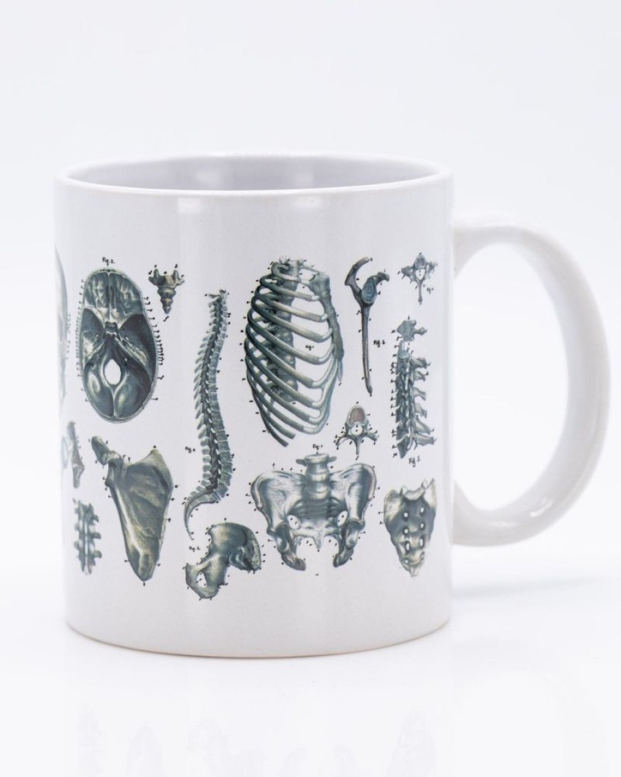 Kitchen + Bar Cognitive Surplus | Skeleton Mug 20 Oz | Science Mug