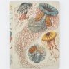 Notebooks Cognitive Surplus | Jellyfish Print Notebook - Hardcover | Biology Gifts