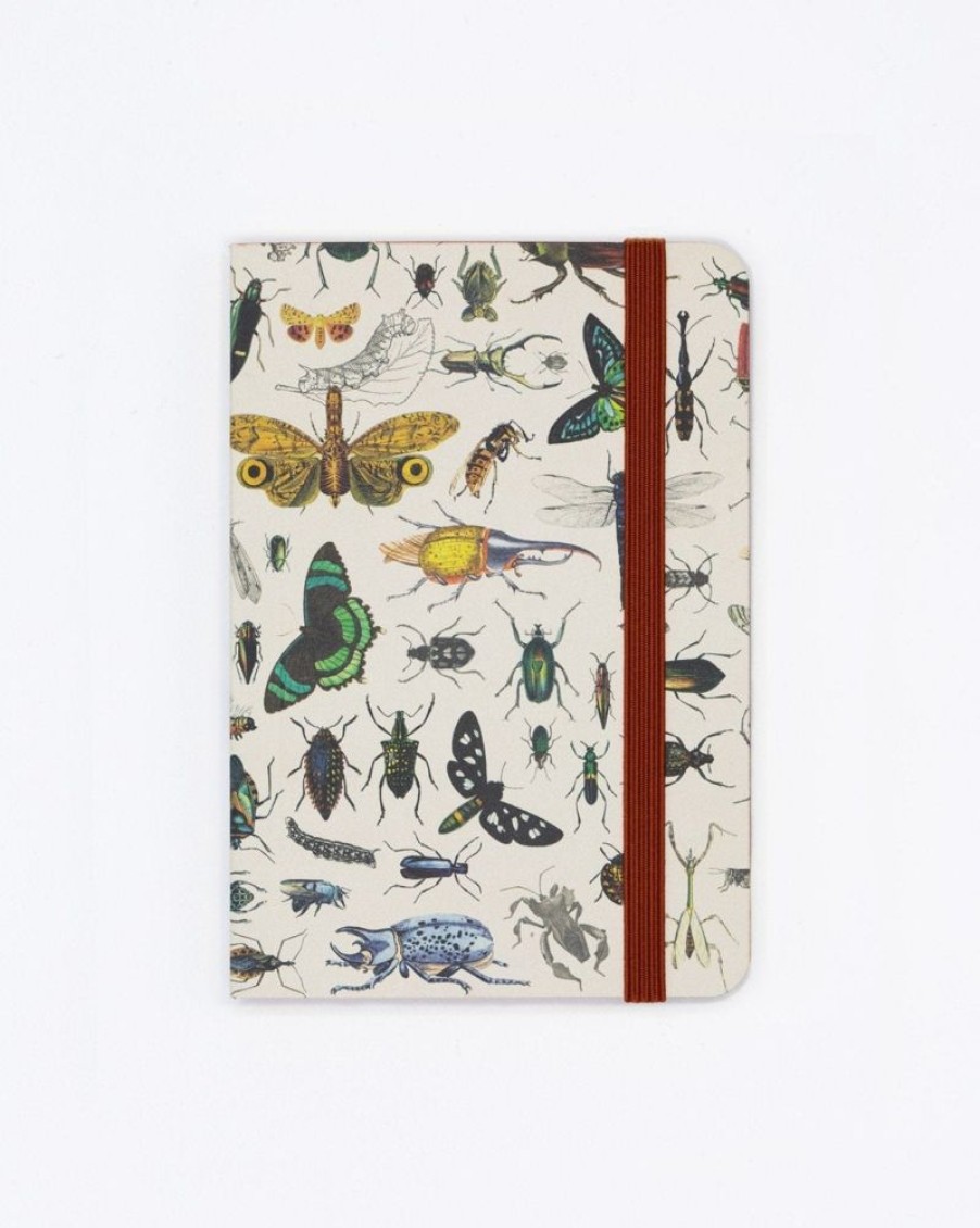 Notebooks Cognitive Surplus | Butterflies & Beetles Observation Softcover