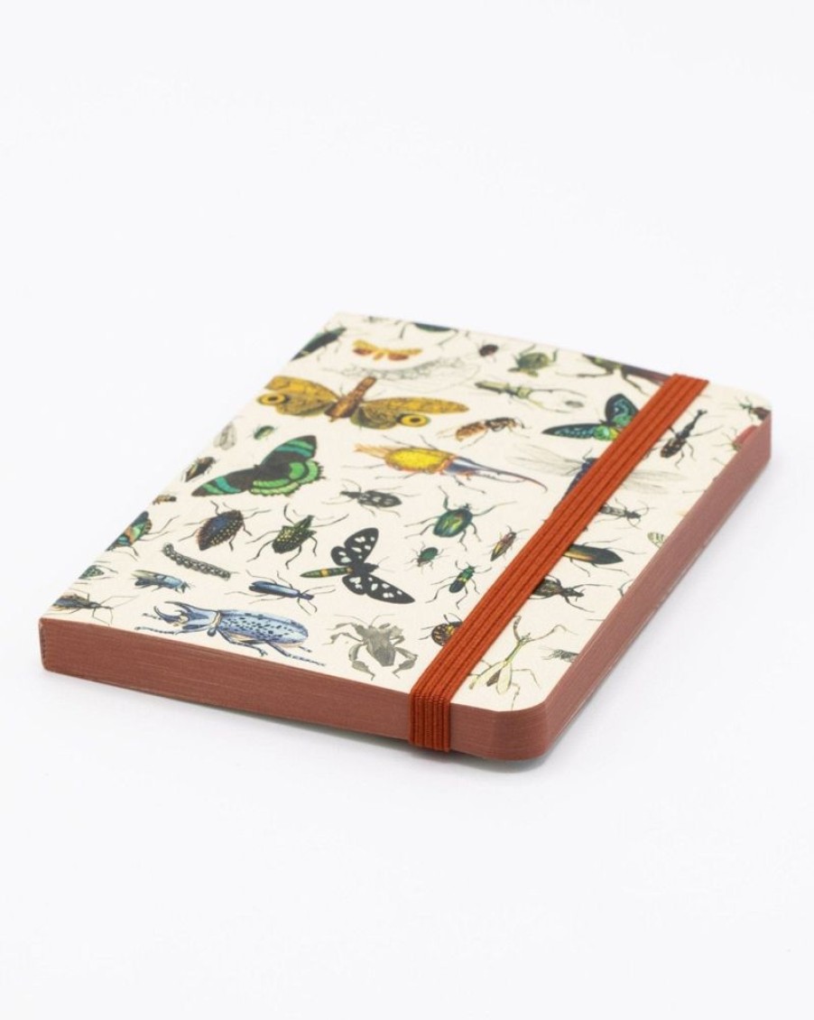 Notebooks Cognitive Surplus | Butterflies & Beetles Observation Softcover