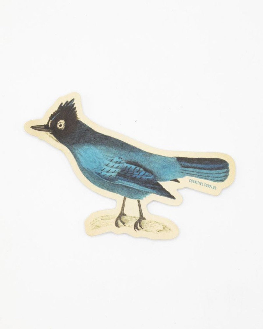 Stationery Cognitive Surplus | Stellar Jay Sticker