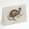 Stationery Cognitive Surplus | Kiwi Bird Greeting Card - Ornithology Stationery | Cognitive Surplus