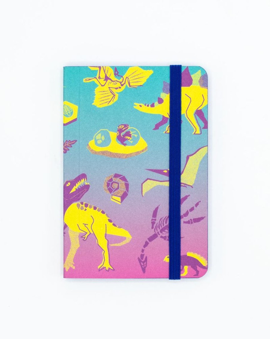 Notebooks Cognitive Surplus | Retro Dino Observation Softcover