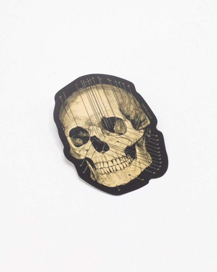 Stationery Cognitive Surplus | Skull Sticker