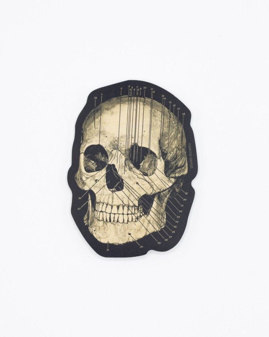 Stationery Cognitive Surplus | Skull Sticker