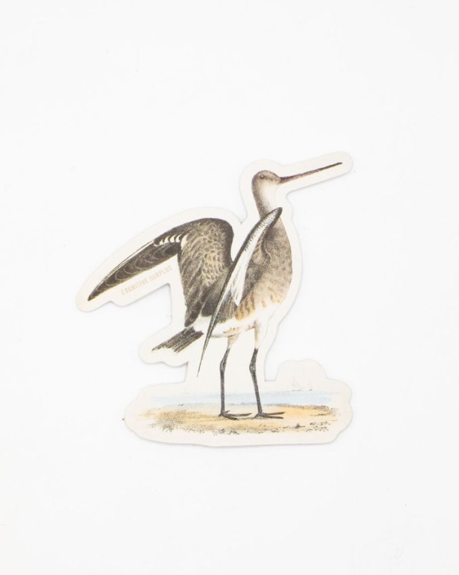 Stationery Cognitive Surplus | Marbled Godwit Sticker